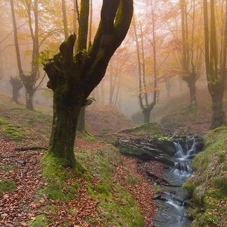 Caserio Sautu Goikoa