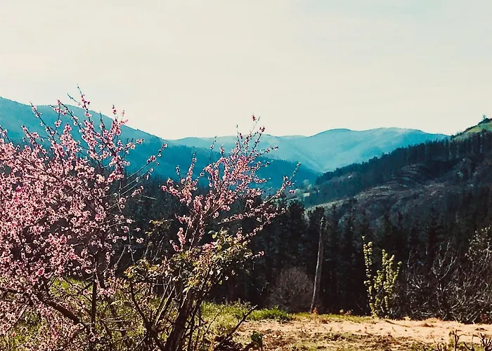 Caserio Sautu Goikoa Orozko