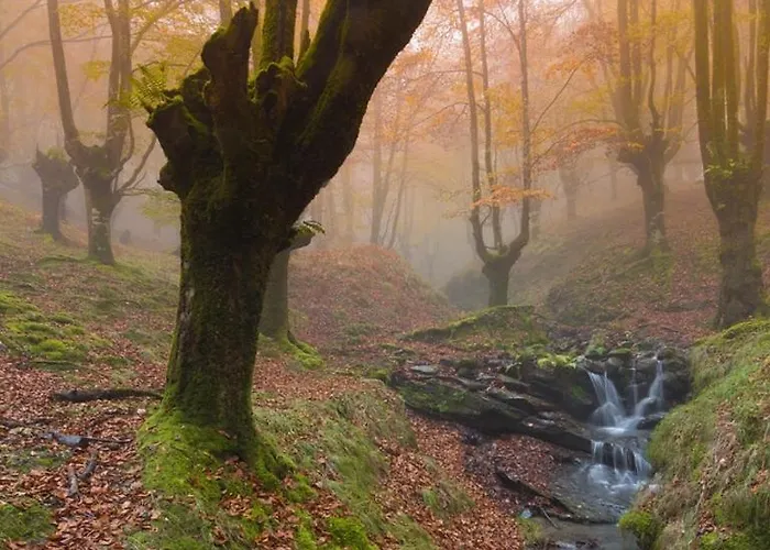 Caserio Sautu Goikoa